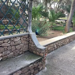 Alloggio in famiglia 16, Porto Santo